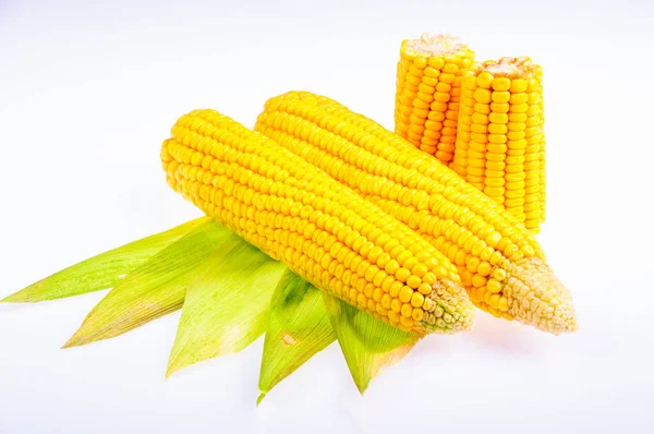 Reifer Mais Auf Dem Maiskolben Auf Weißem Hintergrund — Stockfoto