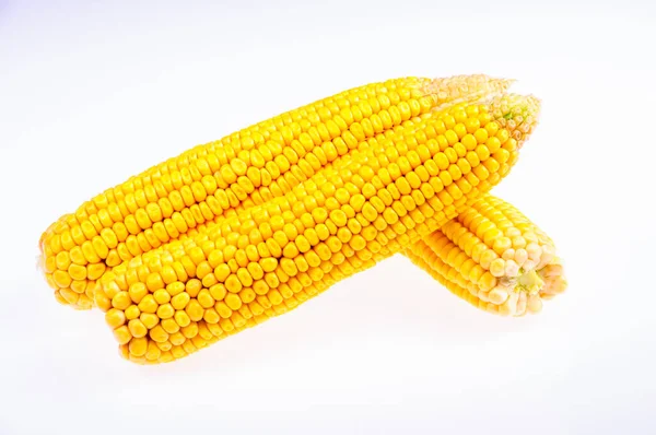 Érett Kukorica Cob Fehér Alapon — Stock Fotó