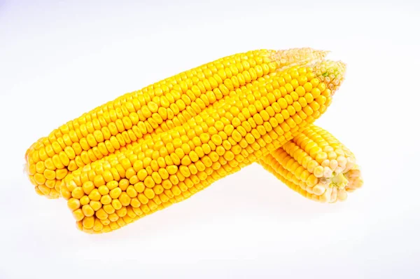 Ripe Corn Cob White Background — Stock Photo, Image