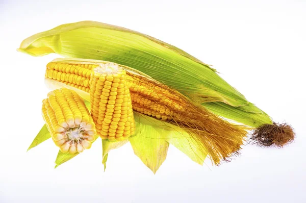 Beyaz arka planda olgun mısır.