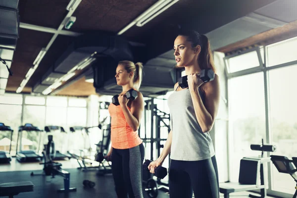 Spor salonunda çalışan kadınlar. — Stok fotoğraf