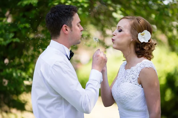 Mooie paar waait paardebloemen — Stockfoto