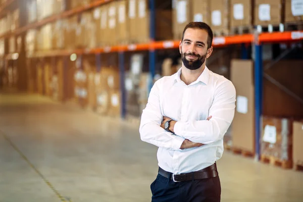 Gerente de logística posando en almacén Imágenes De Stock Sin Royalties Gratis