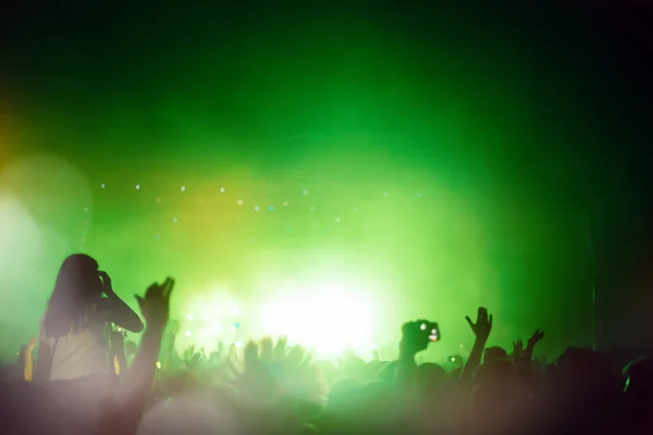 Party people attending a concert — Stock Photo, Image