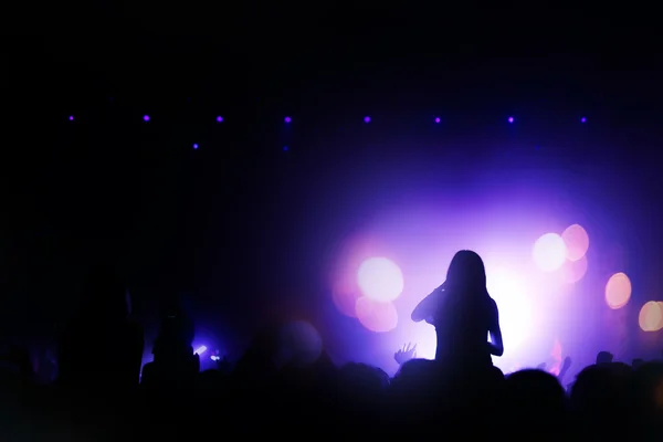 People silhouettes partying at a concert — Stock fotografie