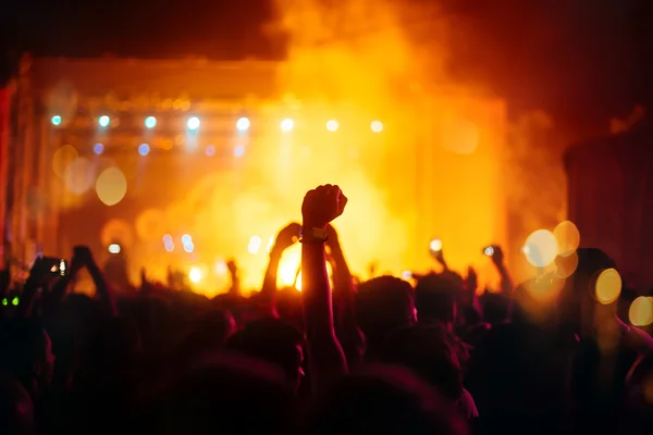 Party people attending a concert — Stockfoto