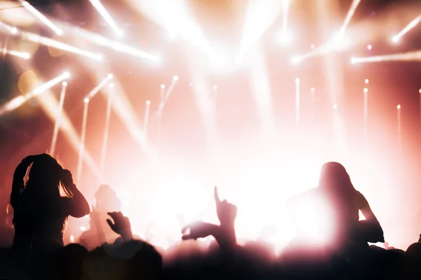 People silhouettes partying at a concert — Stock Photo, Image