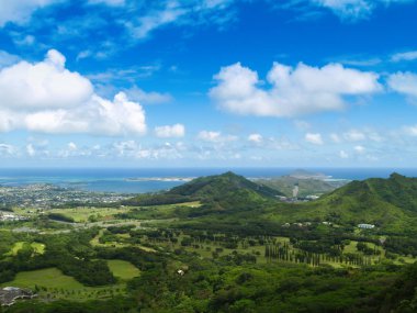 Bir şehrin Hawaii güzel sahne