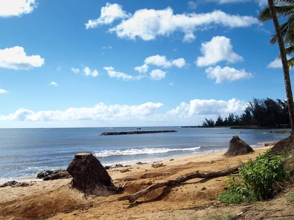 Берег Гаваї Oaho острів — стокове фото