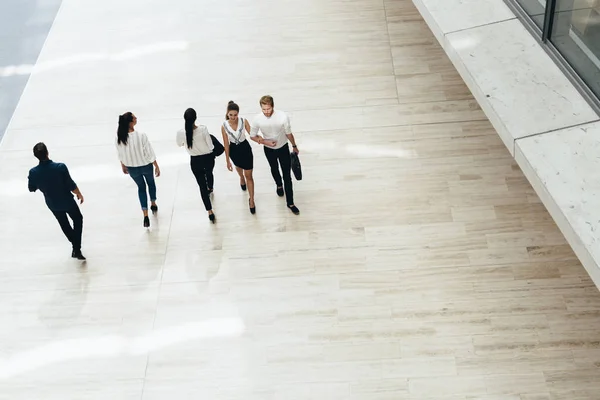 Young business people — Stock Photo, Image