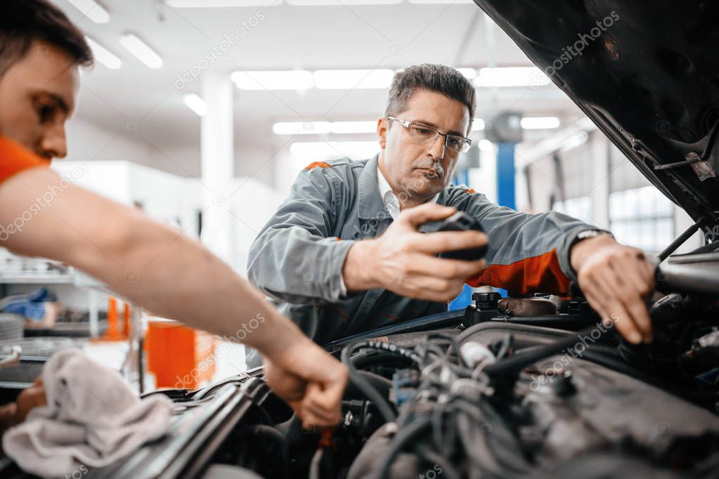 Car mechanics working 