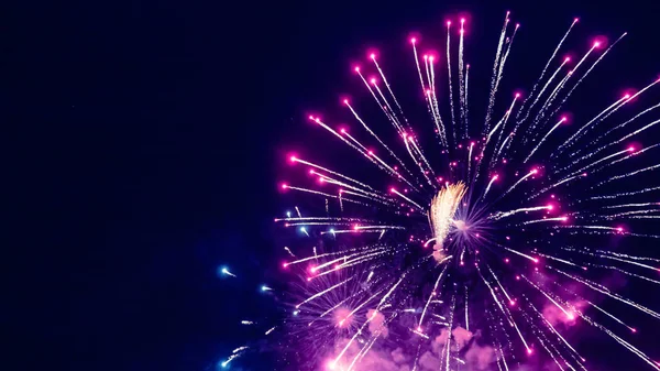 Gyönyörű tűzijáték közben ünnepe — Stock Fotó