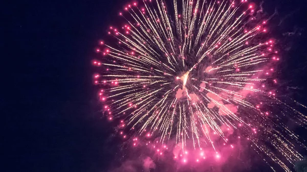 Beautiful fireworks during celebration — Stock Photo, Image