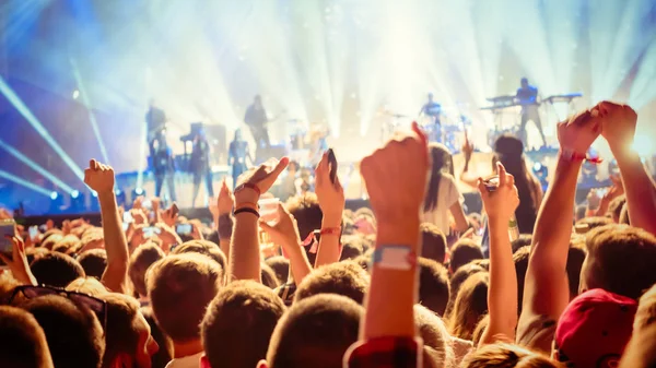 Люди наслаждаются концертом на фестивале Стоковая Картинка