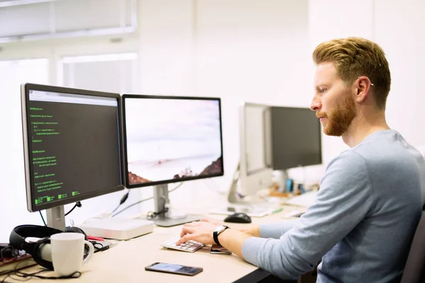 Programador que trabaja en una empresa de desarrollo de software Imagen De Stock