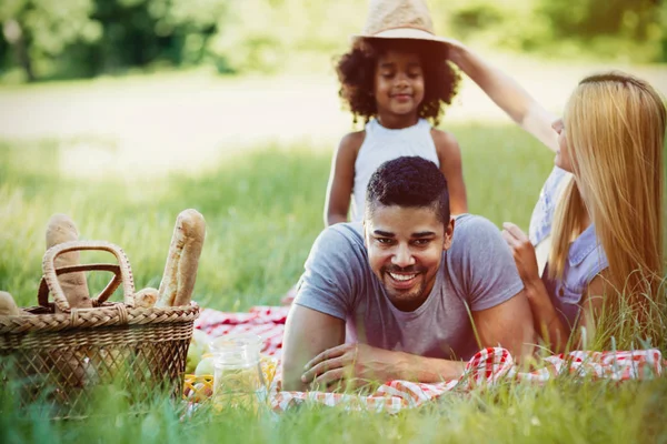 Aile piknikten hoşlanıyor — Stok fotoğraf