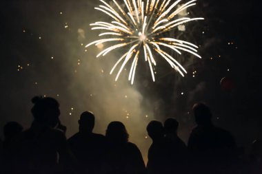 Kalabalık havai fişek izlerken