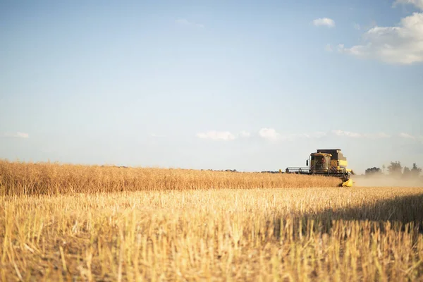 Сельскохозяйственная машина, работающая в полях — стоковое фото