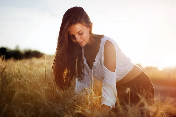 Piękna kobieta w pszenicy łąka — Zdjęcie stockowe