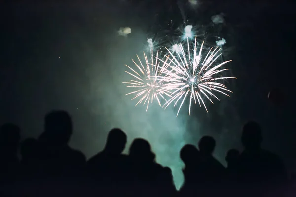 Tömeg tűzijátékot néz és ünnepel — Stock Fotó