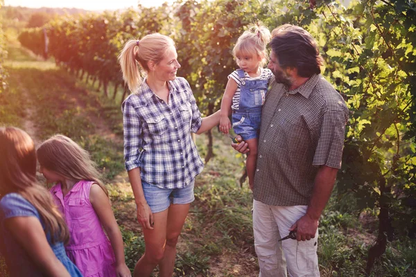 Keluarga Winemaker di kebun anggur — Stok Foto
