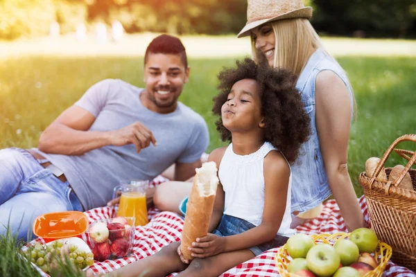 Szczęśliwego rodzinnego pikniku korzystających — Zdjęcie stockowe