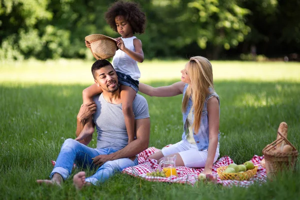 Familia disfrutando de picnic —  Fotos de Stock