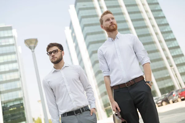 Guapos colegas de negocios — Foto de Stock