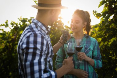 İnsanlar üzüm bağında şarap tadıyor. 