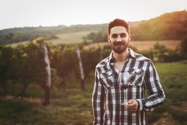 Şarap üreticisi Üzüm bağında şarap tadıyor 