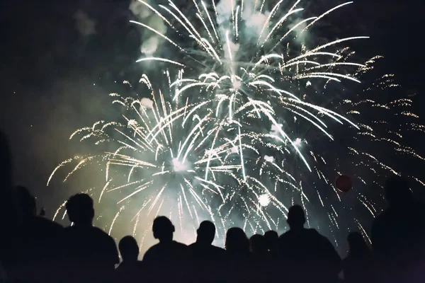 Pessoas felizes assistindo fogos de artifício — Fotografia de Stock