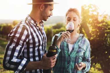 Şarap tatma insanlar