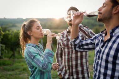 İnsanlar üzüm bağında şarap tadıyor.
