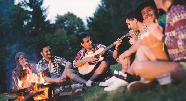 Amigos felizes tocando música — Fotografia de Stock