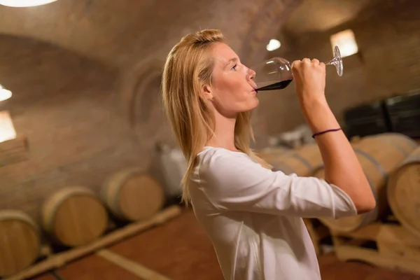 Beautiful woman tasting wine — Stock Photo, Image