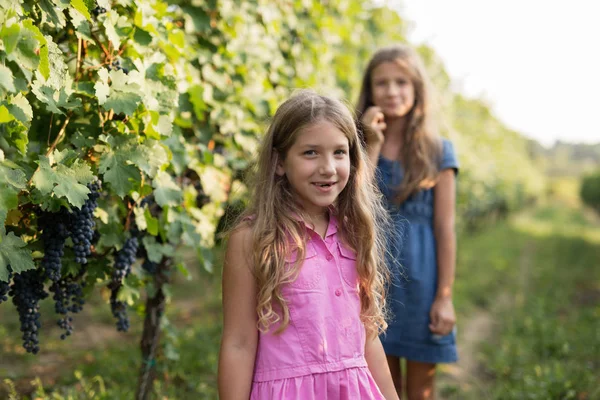 Happy sisters di kebun anggur — Stok Foto