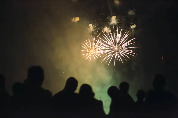 Foule regardant des feux d'artifice — Photo