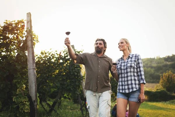 Gelukkige paar in wijngaard — Stockfoto