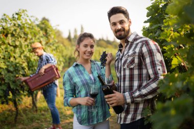 Üzüm hasat winegrowers