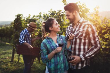 Üzüm hasat winegrowers