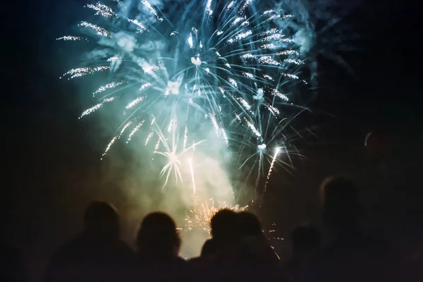 Persone felici che guardano fuochi d'artificio — Foto Stock