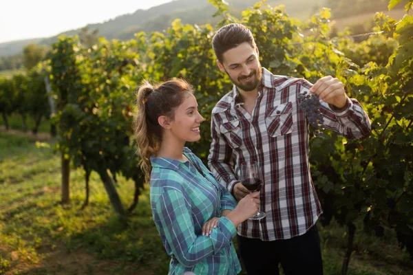 Couple in love in vineyard — Stock Photo, Image