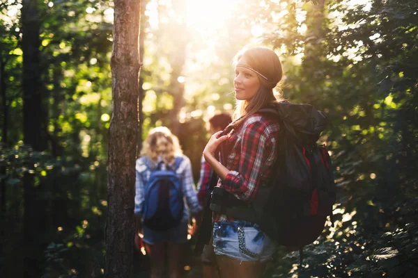 Amigos caminhadas na floresta — Fotografia de Stock