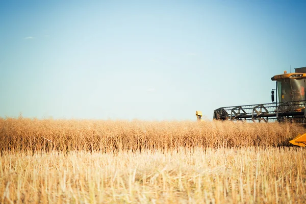 Agricultura stroj na polích — Stock fotografie