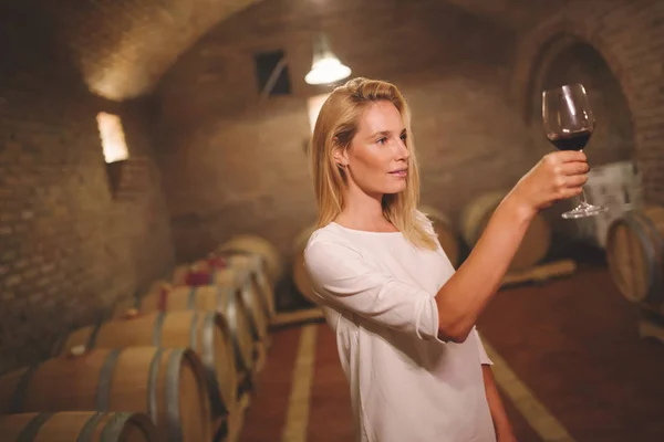 Female tasting wine in winery — Stock Photo, Image