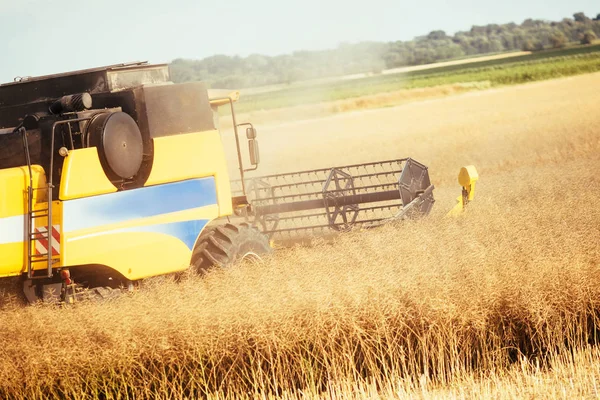 Landwirtschaftsmaschine auf Feldern — Stockfoto