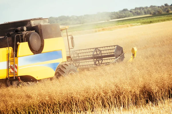 Agricultura μηχανή σε πεδία — Φωτογραφία Αρχείου