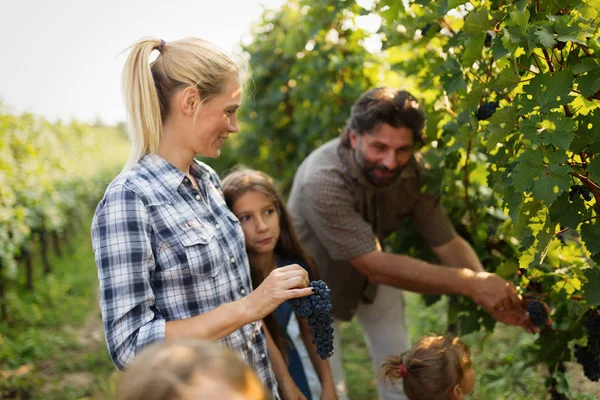 Keluarga Winemaker di kebun anggur — Stok Foto