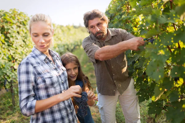 Wine grower family