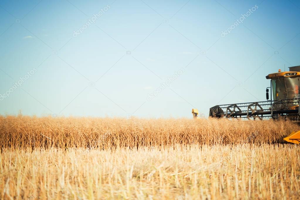 Agricultura machine on fields